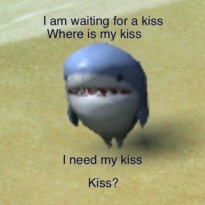 Meme 11