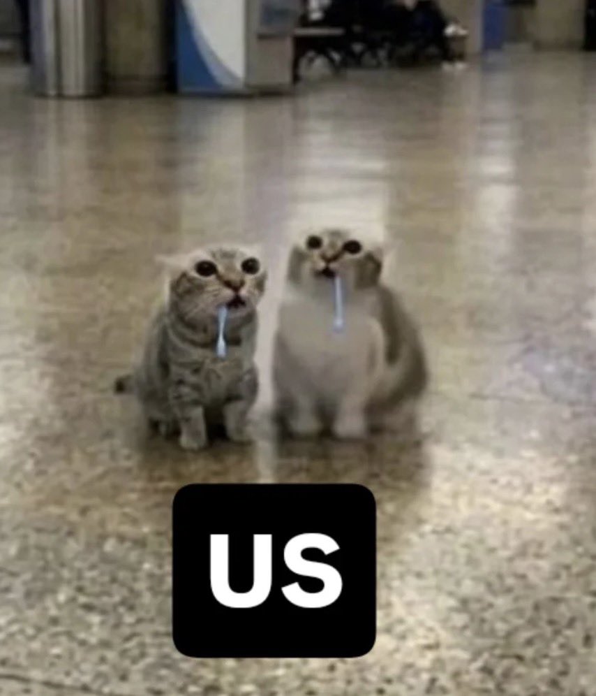 Meme 13