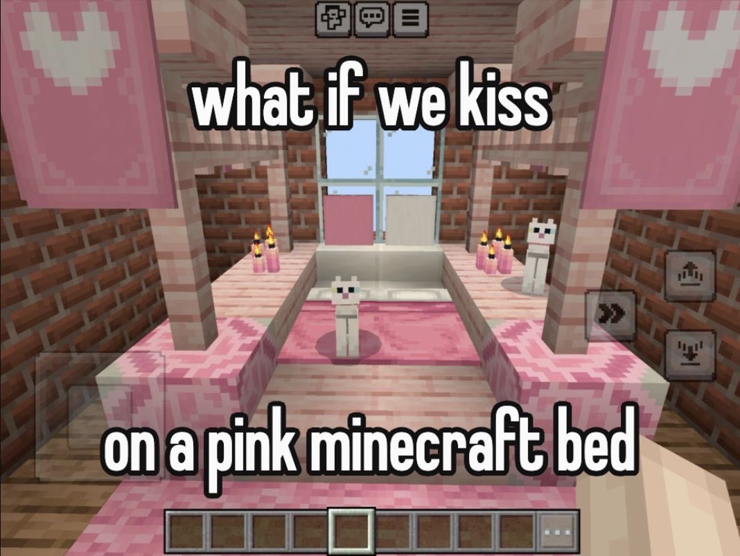 Meme 14