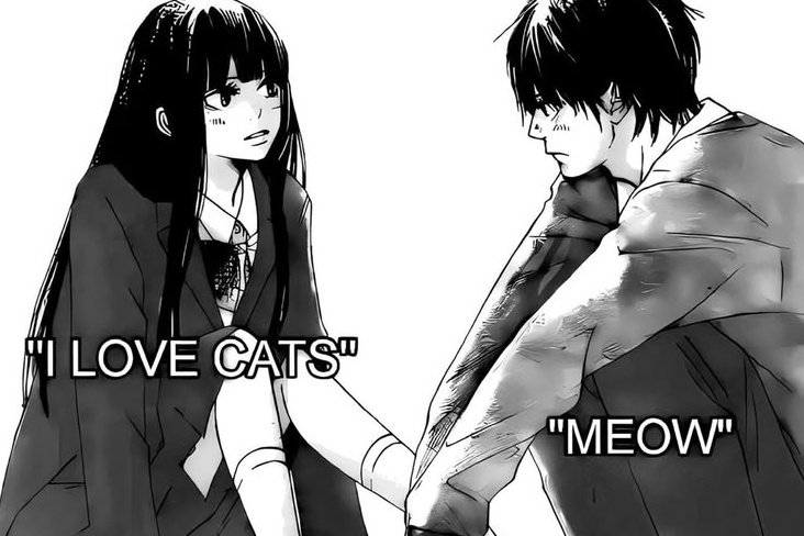 Meme 20