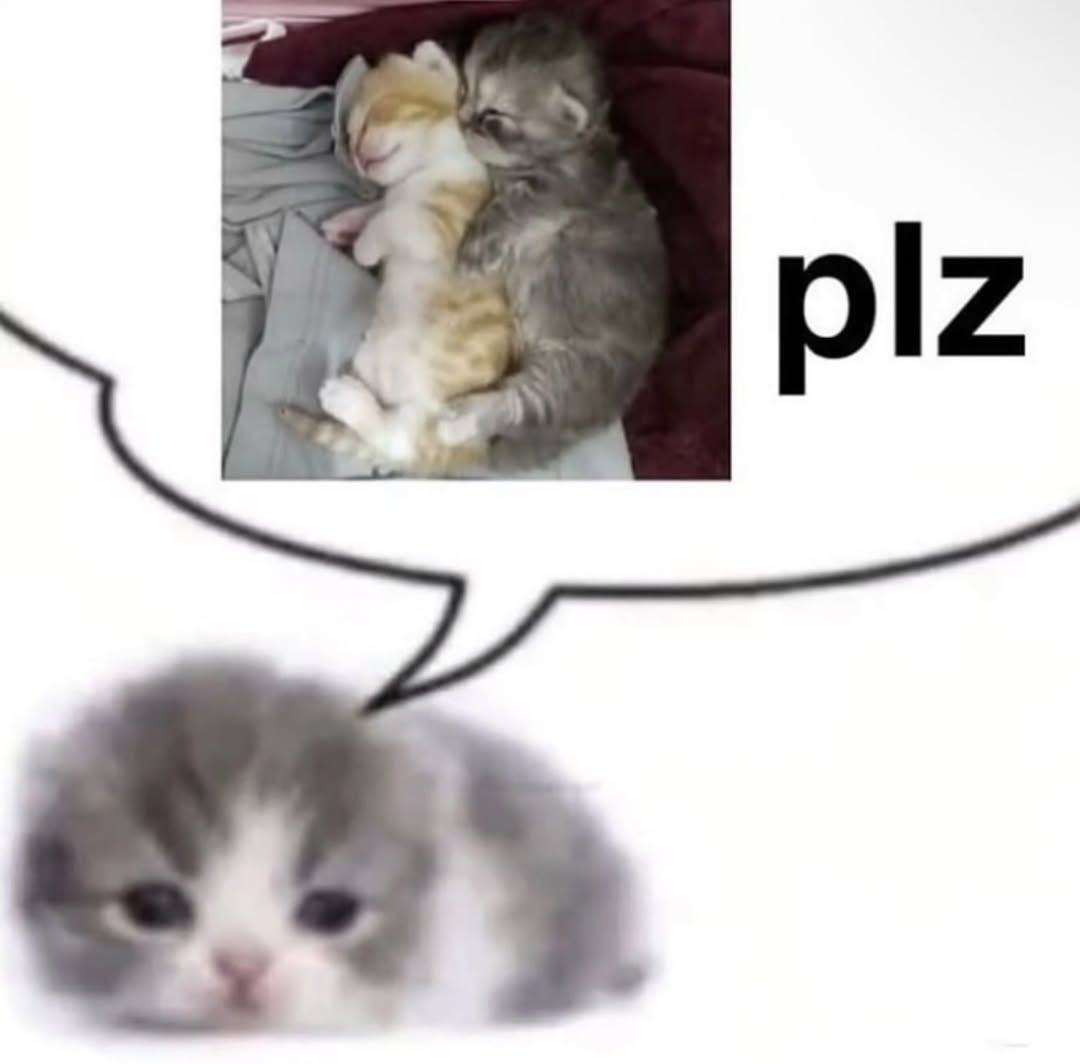 Meme 23