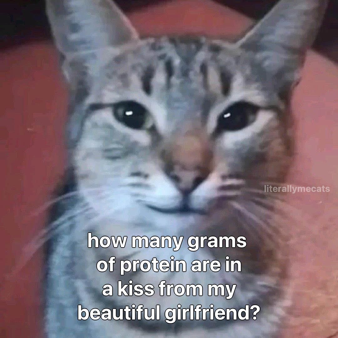 Meme 4