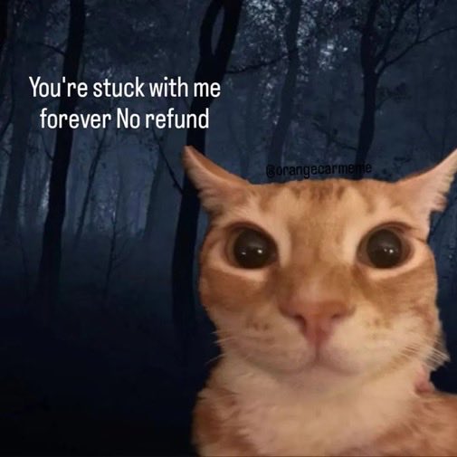 Meme 6