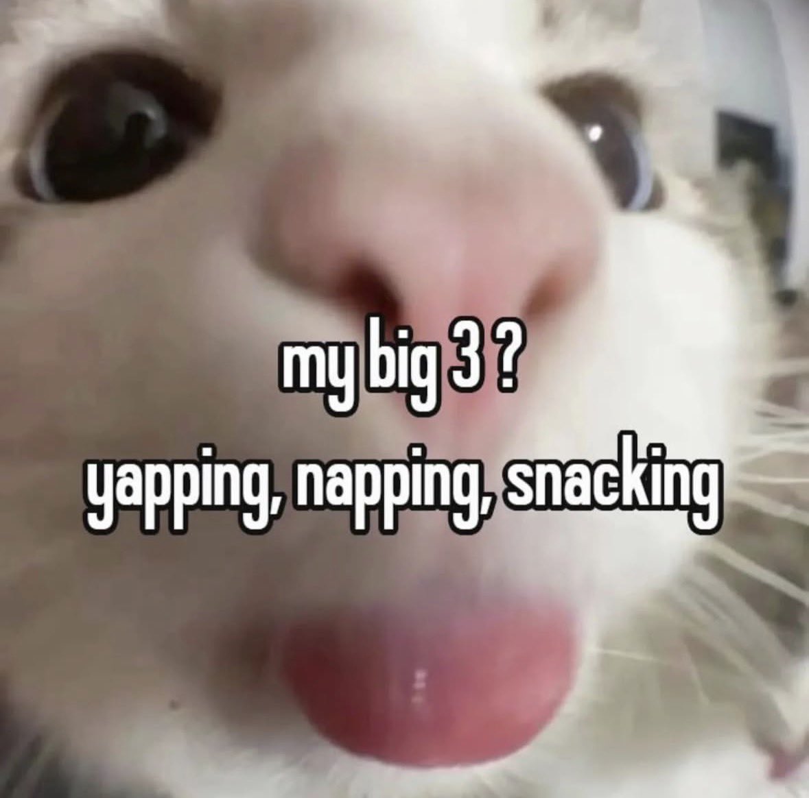 Meme 7